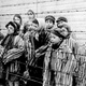 27 janvier Journée de la mémoire de l'Holocauste et de la prévention des crimes contre l'humanité