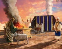 La peau et la chair brûlées en dehors du camp (Parasha 26 Hashemini)