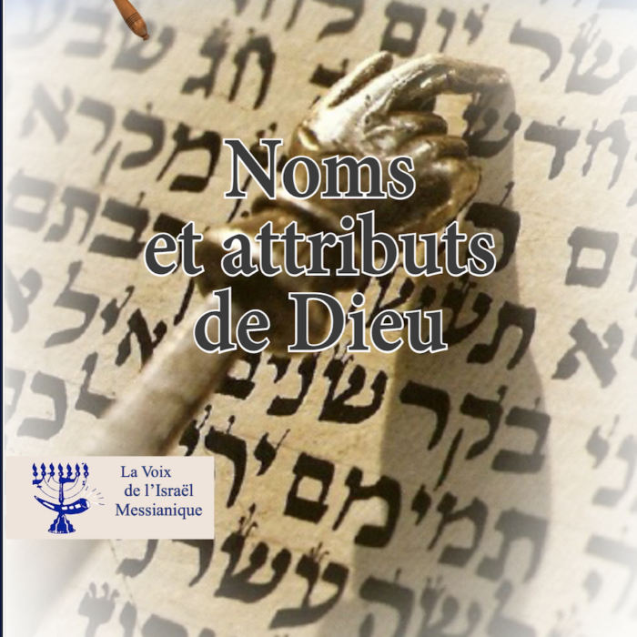 Couverture du livre les Attributs de Dieu