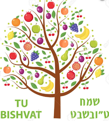 Tou Bishvat la fête des arbres